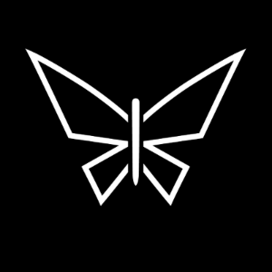 Modern line art of a white butterfly on a black background